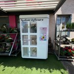 AIN : Livraison et Installation d’un Distributeur Automatique de Fleurs à Saint-Denis-les-Bourg